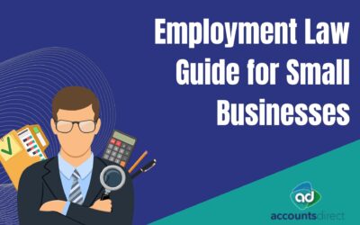 A Comprehensive Guide to Employment Law for Small Business Owners