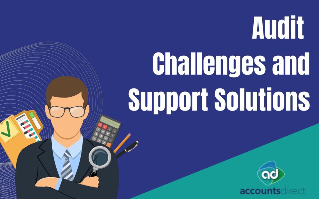 Audit Challenges and Support Solutions